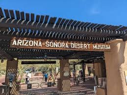 Arizona-Sonora Desert Museum